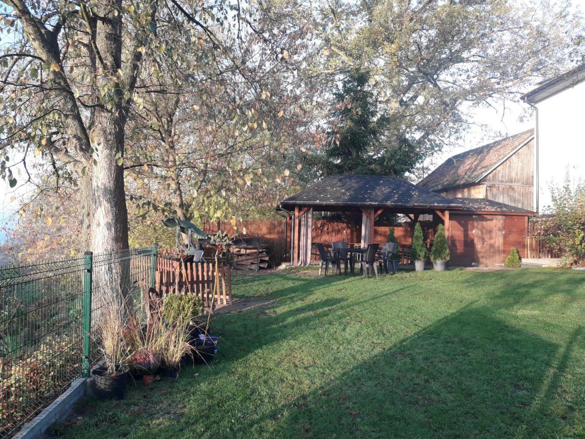 Willa Amber Zakosciele Inowlodz Dış mekan fotoğraf